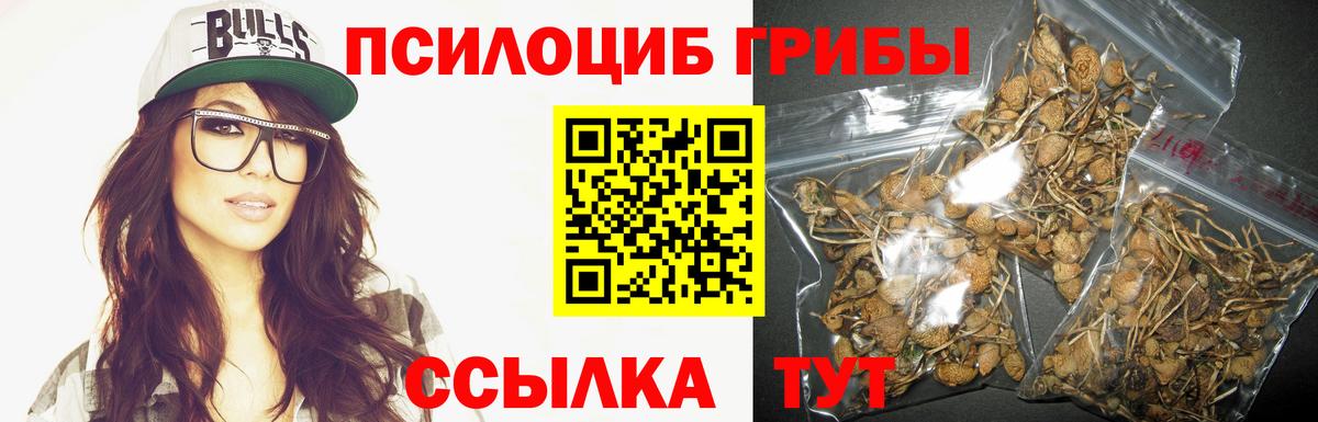 Галлюциногенные грибы GOLDEN TEACHER Печора